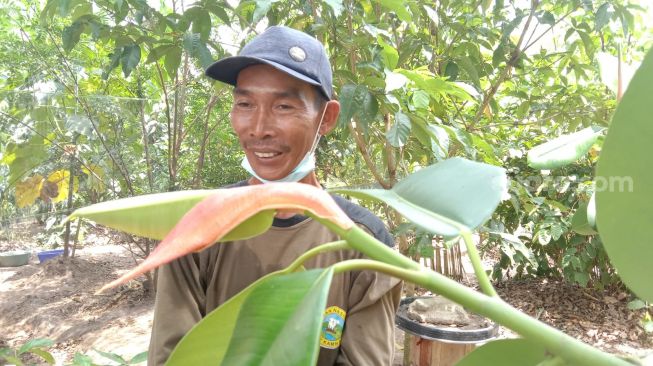 Kisah Penjaga Hutan Rawa Kidang TNWK, Sempat Dituduh Pelaku Pembakaran Hutan