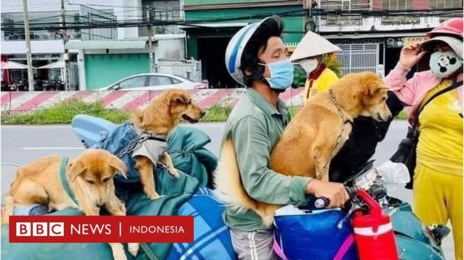 Pemilik Anjing di Vietnam Menangis: Aku Tak Bisa Melindungi Anak-anakku