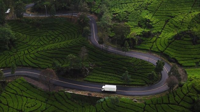 Adopsi Teknologi Digital untuk Bisnis Logistik di Kawasan Sulawesi