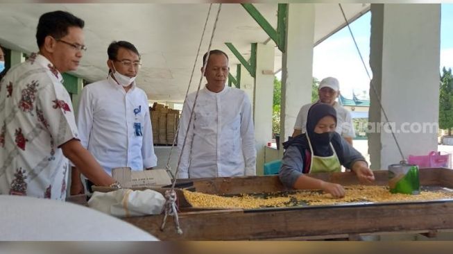 Bakal Serap Ribuan Tenaga Kerja, BUMN Optimis CNM Solok Produksi Benih Jagung Skala Besar