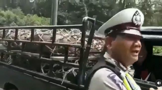 Polisi syok melihat isi muatan pikap saat gelar Operasi Zebra (Instagram)