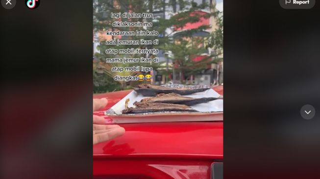 Diklakson Kendaraan Pas di Jalan, Wanita Syok Atap Mobilnya Ada Benda ini (TikTok)