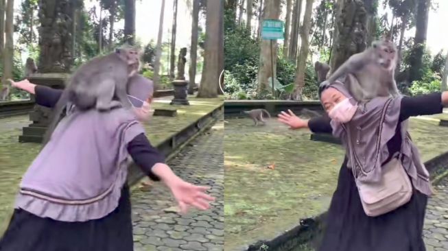 Reaksi emak-emak ditumpangi monyet (tiktok/@nofifina)