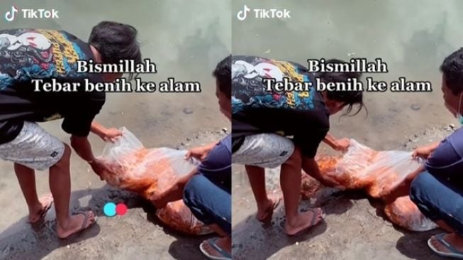 Viral Cowok Tebar Benih Ikan Koi ke Alam, Publik: Mau Melestarikan Malah Blunder