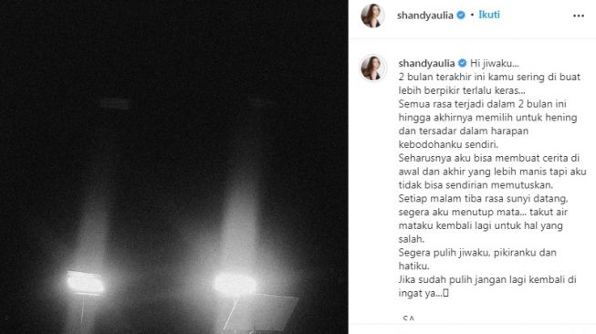 Unggahan Shandy Aulia [Instagram/@shandyaulia]