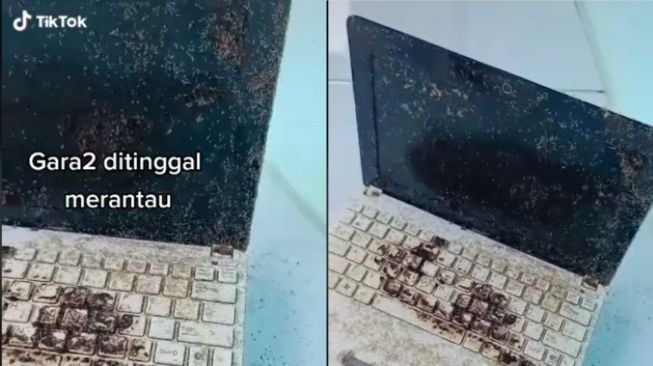 Laptop ditinggal merantau (tiktok.com/@anwarrr26)