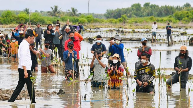 Walhi Sulawesi Selatan: Pemulihan Kawasan Mangrove Harus Didukung Aturan yang Kuat