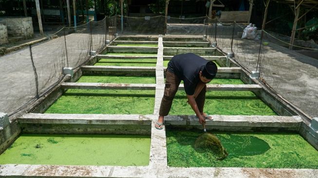 Dakwah Ala Ponpes Rubat Mbalong Ell Firdaus Cilacap, Ajarkan Hidup Duniawi dan Akhirat