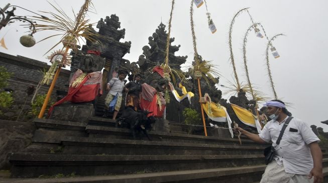 Umat Hindu melakukan ritual penyucian hewan kurban dalam rangkaian pujawali atau upacara persembahyangan di Pura Pasar Agung Besakih Giri Tohlangkir, Karangasem, Bali, Selasa (19/10/2021). [ANTARA FOTO/Nyoman Hendra Wibowo]