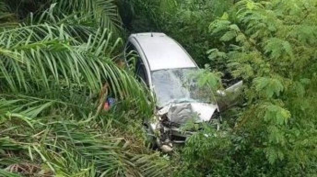 Mobil Masuk Jurang di Kampar, Satu Penumpang Meninggal Dunia