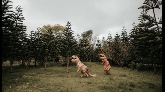 Viral Foto Prewedding Pakai Kostum Dinosaurus (facebook.com/brideandbreakfast)