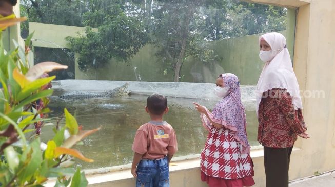 Horee Taman Kebun Binatang Solo Sudah Dibuka Untuk Semua Umur Lur Suara Surakarta