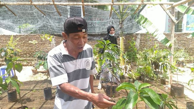 Terkena PHK Karena Pandemi, Kisah Rudy yang Sukses Bisnis Tanaman Beromset Puluhan Juta