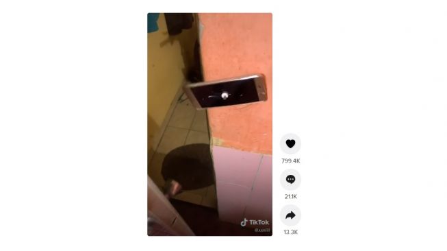 Warganet ini jadikan ponsel buat selot pintu. [TikTok]