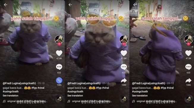 Viral aksi kucing cosplay jadi ibu-ibu kondangan. (TikTok/@fredilugina_usingcloath)