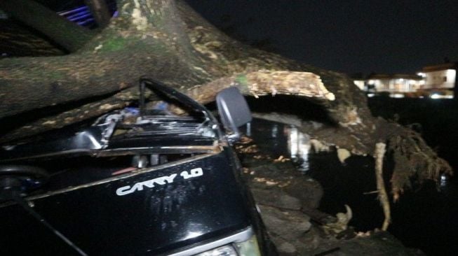 Suzuki Carry Ringsek Tertimpa Pohon Tumbang di Gedebage Kota Bandung