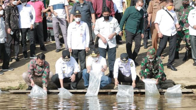 Gubri dan Wagub Sebar 6.000 Ekor Benih Ikan Patin di Rohul