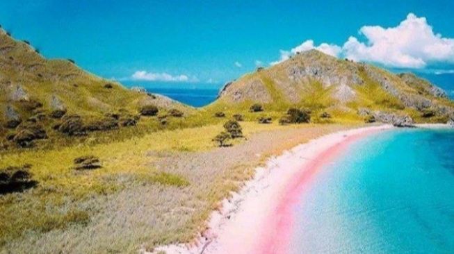 Pink Beach! Pantai Cantik di Pulau Komodo, Bikin Lelah Langsung Hilang