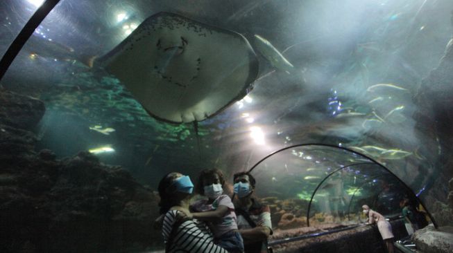 Orang tua mendampingi anaknya ke SeaWorld Ancol, Jakarta, Jumat (22/10/2021).  ANTARA FOTO/ Reno Esnir