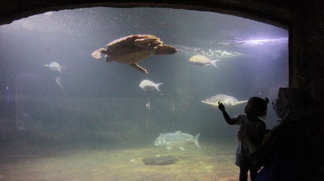 Orang tua mendampingi anaknya ke SeaWorld Ancol, Jakarta, Jumat (22/10/2021).  ANTARA FOTO/ Reno Esnir