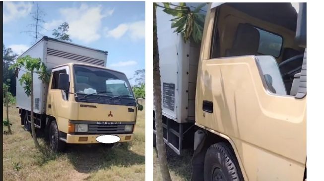 Potret Truk Pengangkut Barang Tersesat di Kebun Pepaya, Pengakuan Sopir Bikin Syok