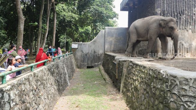 Warga berwisata sambil melihat satwa di Taman Margasatwa Ragunan, Jakarta Selatan, Sabtu (23/10/2021). [Suara.com/Alfian Winanto]