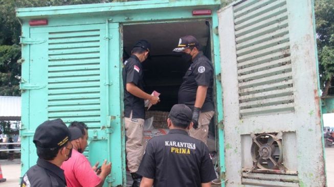 Waspada Daging Babi Seludupan di Bintan, Ini yang Dilakukan Kepala Karantina