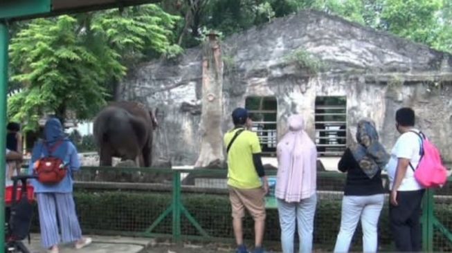 Antusias Ragunan Dibuka Lagi, Warga: Hampir 2 Tahun di Rumah karena Pandemi