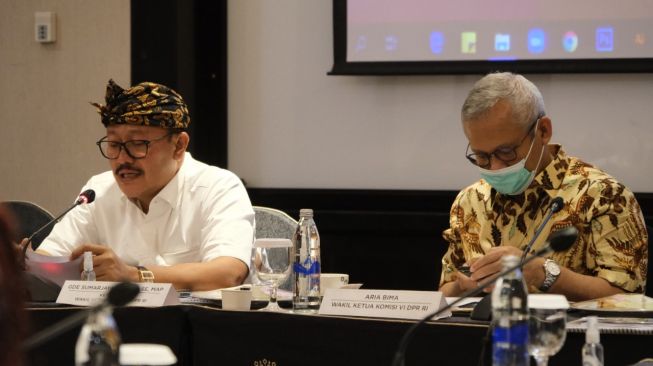Wakil Ketua Komisi VI DPR asal Dapil Bali Gde Sumarjaya Linggih atau Demer. (Dok: DPR)