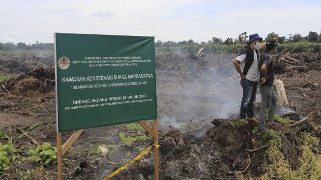 Kabar Duka, 1.324 Hektar Hutan Suaka Margasatwa Rawa Singkil Hilang karena Banjir Datang Bertubi-tubi