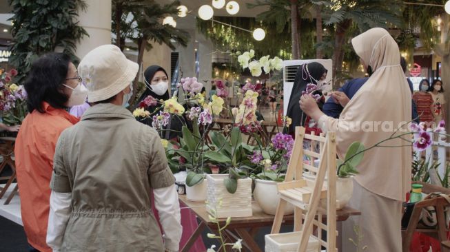 Pengunjung melihat tanaman anggrek pada pameran Creartive Culture Home di Summarecon Mal Serpong, Tangerang, Banten, Minggu (24/10/2021). [Suara.com/Hilal Rauda Fiqry]