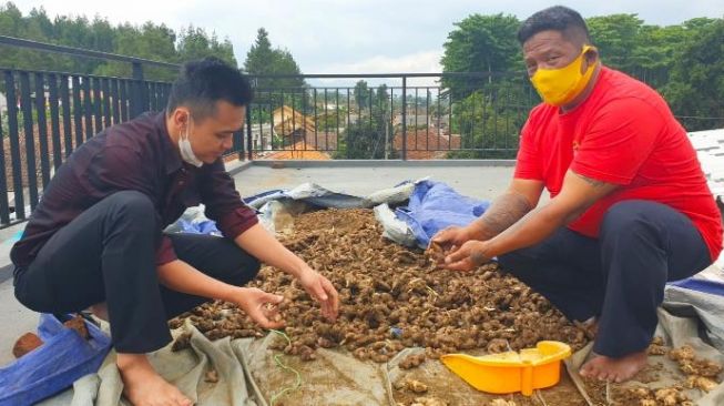 Dari Cafe ke Jahe, Pelaku Usaha Korban Pandemi Ini Bangkit dari Bangkrut dan Raih Sukses