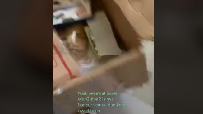 Wanita bawa oleh-oleh di bagasi pesawat (tiktok)