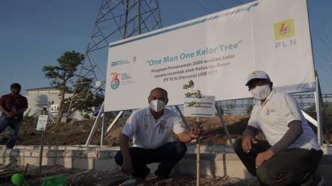 Peringati Hari Listrik Nasional PLN Tanam 2000 Anakan Kelor Serentak di NTT