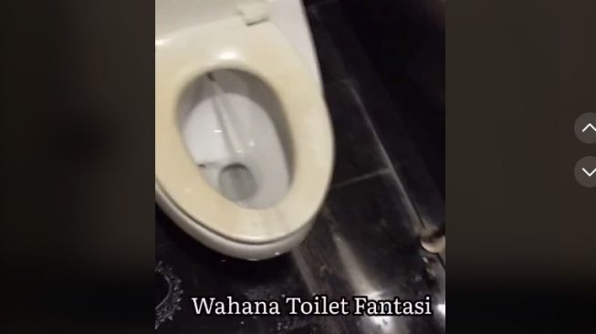 Semprotan Bidet WC Kencang Bak Air Mancur, Warganet Ngilu