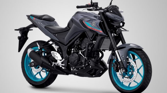 Yamaha MT-25 Metallic Dark Grey [PT YIMM].