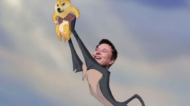 Elon Musk Sangkal Dirinya dan Jared Birchall Ada di Dogecoin Foundation