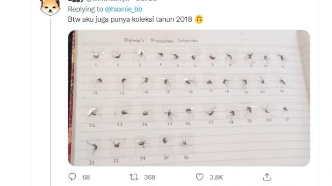 Viral Buku Catatan Koleksi Kematian Nyamuk (Twitter)