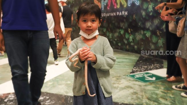 Anak - anak melihat pameran hewan Exotic Pet Expo di Senayan Park, Jakarta Pusat, Sabtu (30/10/2021). [Suara.com/Alfian Winanto]