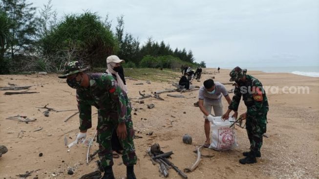 Hari Sumpah Pemuda, Satgas Pamtas Kerja Bakti dan Lepasliarkan 300 Tukik di Pantai Paloh