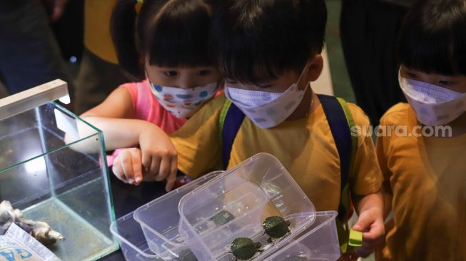 Anak - anak melihat pameran hewan Exotic Pet Expo di Senayan Park, Jakarta Pusat, Sabtu (30/10/2021). [Suara.com/Alfian Winanto]