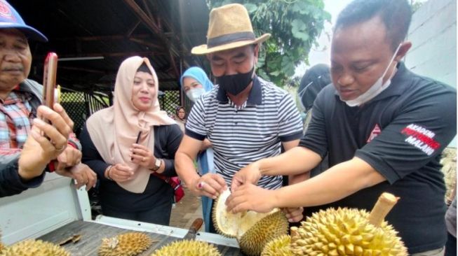 Mantan Wali Kota Malang Abah Anton Punya Bisnis Baru, Kebun Durian di Patungsewu