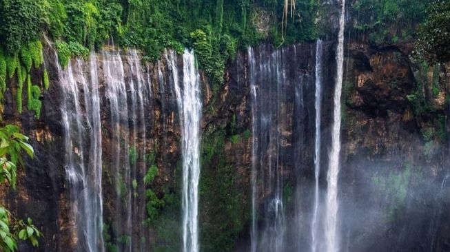 Air Terjun Tersembunyi di Kabupaten Malang, Tawarkan Petualangan Alam yang Menenangkan