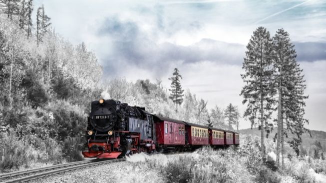 Ilustrasi kereta api  Trans-Siberia (pixabay)