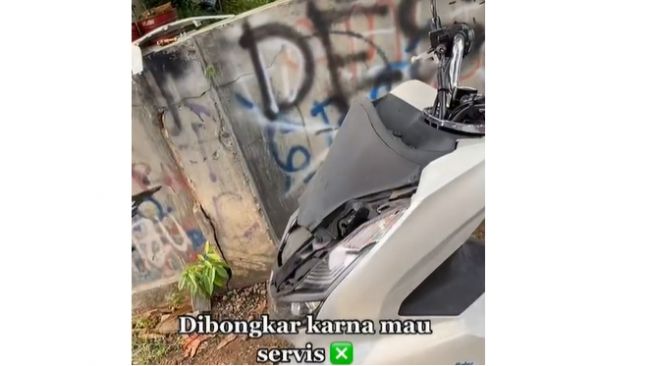 Gara-Gara Makhluk Kecil Ini, Honda PCX Harus Dipaksa Bongkar, Kenapa?