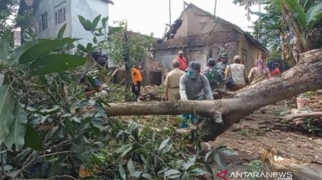 Sesuai Prediksi BMKG, Angin Kencang Tumbangkan Pohon Hingga Timpa Rumah Warga Madiun