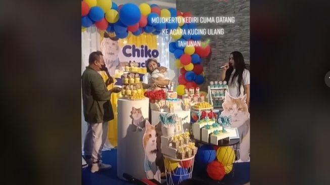 Pesta ulang tahun kucing di Kediri. [TikTok]