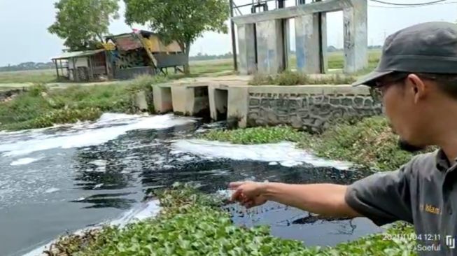 Merusak Tanaman Sekitar, Limbah Busa Putih Kali Rasmi Diduga Berbahaya