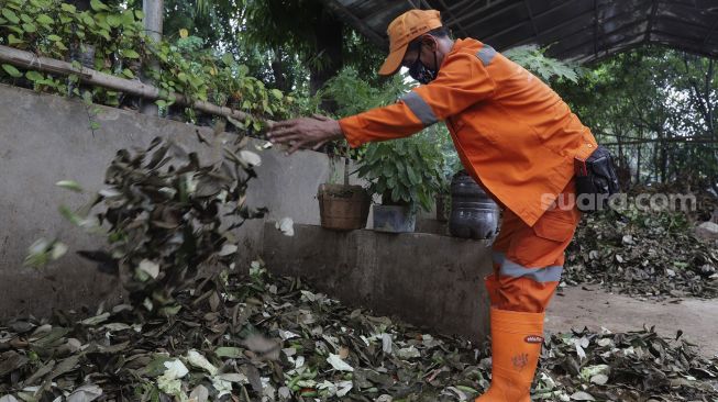 Petugas penanganan prasarana dan sarana umum (PPSU) mencampur sampah organik di Tempat Pengolahan Sampah Terpadu Grogol Selatan, Kebayoran Lama, Jakarta, Kamis (4/11/2021). [Suara.com/Angga Budhiyanto]