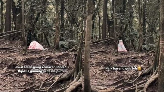 Viral Video Cewek Salat Sendirian di Tengah Hutan. (TikTok)